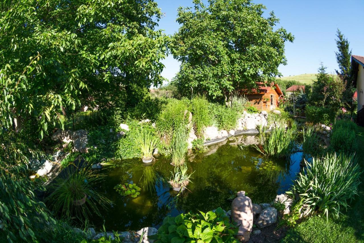 Hotel Bielmann Sanpetru Luaran gambar
